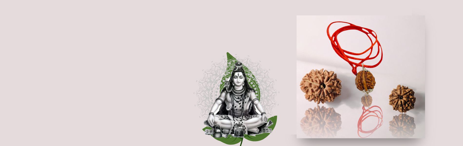 Rudraksha
