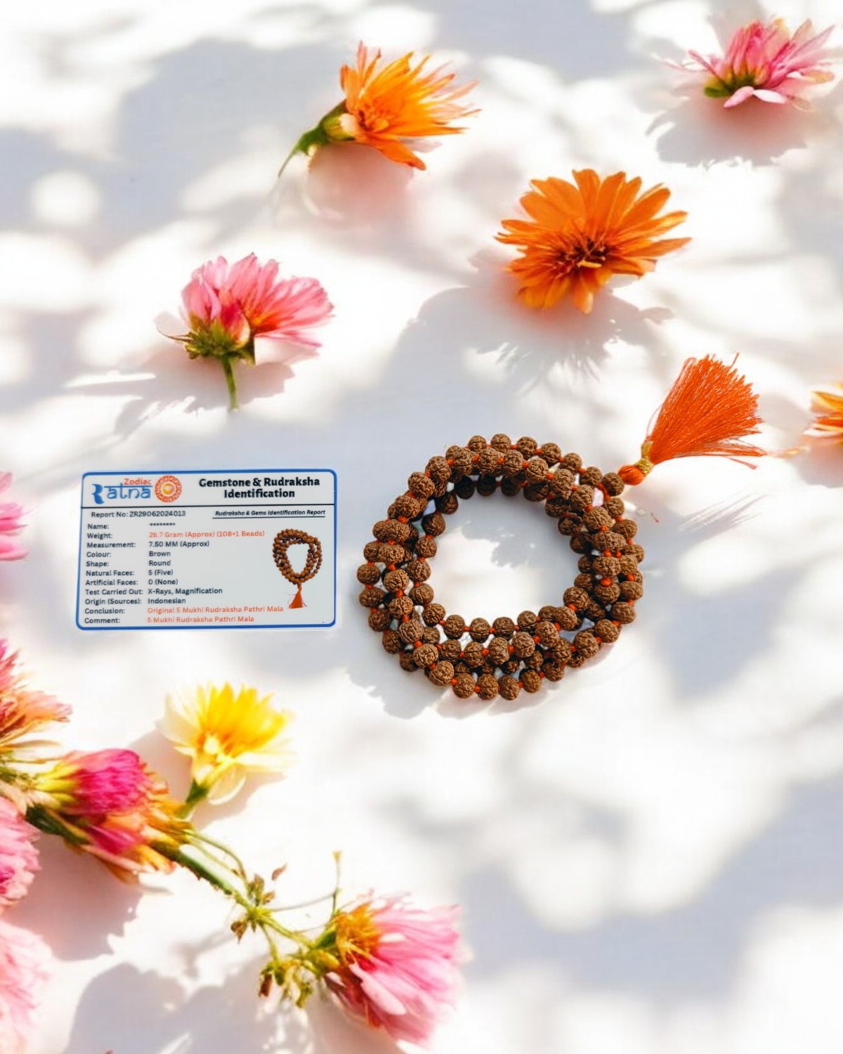 5 Mukhi Rudraksha Pathri Mala 7 MM - Kheteshwar Rudraksh