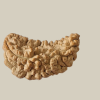 1 Mukhi Half-Moon Rudraksha-Collector